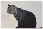 De menselijke kat