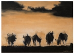 Afrika