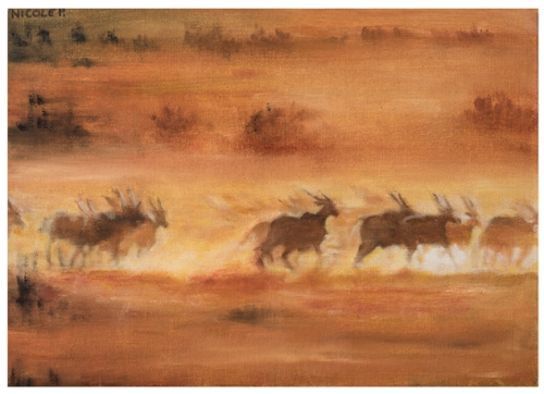 Nicole Piron - Afrika