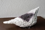 Kleine vogel