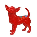Small chiwawa