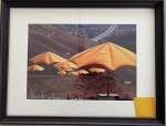 Christo - Umbrellas - including original piece of fabric!