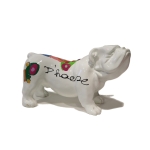 Bulldog small white