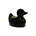 Black duck from the sunny day in Paradise at Middelkerke