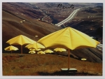 The Umbrellas