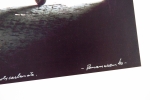 Panamarenko  - Posters (x3)