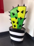 Cactus XXL