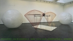 Affiche Bernoulli