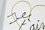 Hannes D'Haese - Je t'aime