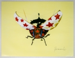 Cockchafer offset print