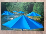 The umbrella’s, Japan site