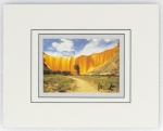 Valley Curtain