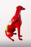 Whippet - Windhond