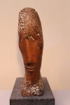 Martiene Stevens - Tweeling zielen