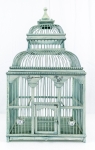 Birdcage