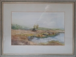 Kempens landschap met ven