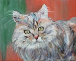 Onze kat