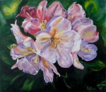 Bloemenweelde