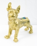 gold bulldog