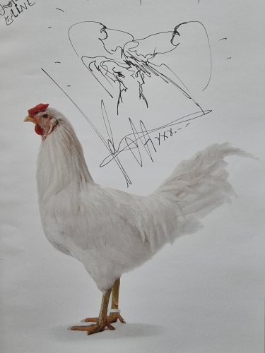 Koen Vanmechelen - Dessin original + édition spéciale de L'Accident