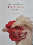Koen Vanmechelen - Dessin original + édition spéciale de L'Accident