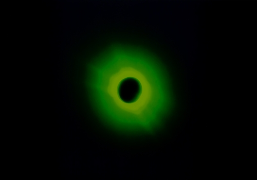 Ann Veronica Janssens - Zonne eclips
