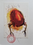 The Walking Egg