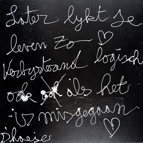 Hannes D'Haese - Later lijkt je leven zo verbijsterend logisch ook als het is misgegaan
