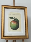 René Magritte - ceci n'est pas une pomme