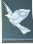 lucht vogel