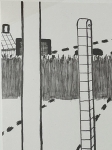 serie1981