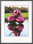 Balloon flower (magenta)