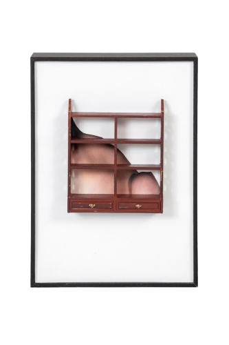 Elke  Desutter - 'To Titillate a Cupboard' -2019- (minimumprijs 250 euro)