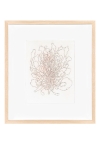 Medusia (minimumprijs 1200 euro)