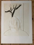 Man and tree