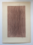 Tiges Rectangles