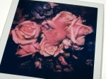 Nobuyoshi Araki - Unique Polaroid