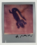 Unique Polaroid