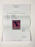 Nobuyoshi Araki - Unique Polaroid