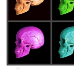 MR Strange Gitard - United Colors of the Nice Death I