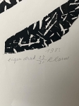 Roger Raveel - An abstraction in my garden (i)