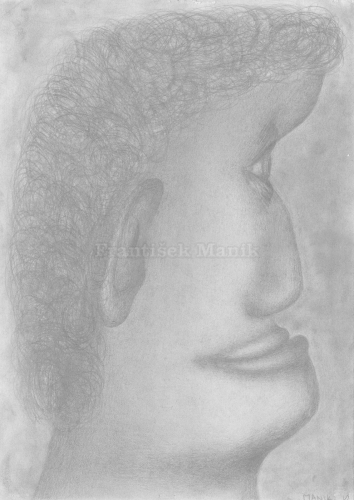 Frantisek Manik - 05 - Déchaînement