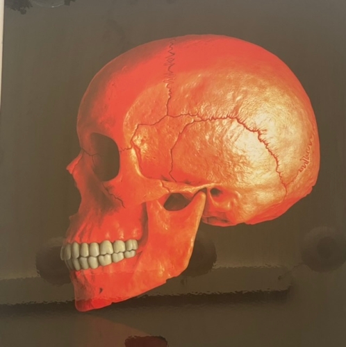 MR Strange Gitard - crâne