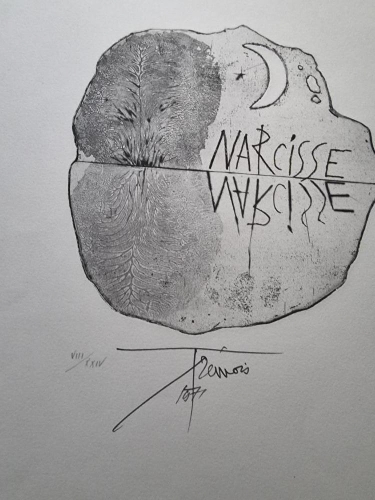 Trémois Pierre-Yves - Narcisse