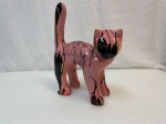 Pink cat