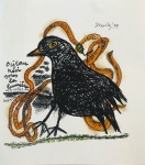 Oiseau noir sous la lumière et le soleil des Tropiques