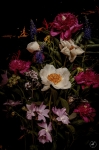 Unwelcome Flowers #0170