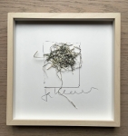 Shredded money