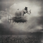 Flying Circus