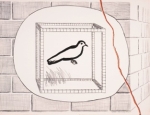Caged pigeon.
